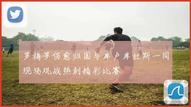 罗梅罗伤愈归国与库卢库杜斯一同现场观战热刺精彩比赛